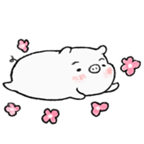 White pig shiboo 3 sticker #13562630