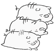 White pig shiboo 3 sticker #13562643