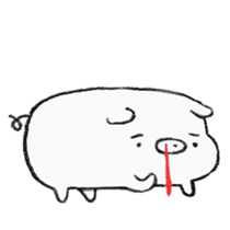 White pig shiboo sticker #13562694