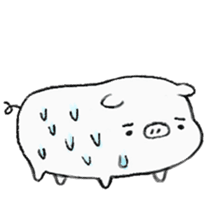 White pig shiboo sticker #13562702