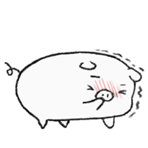 White pig shiboo sticker #13562713