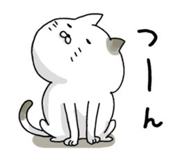 Sticker for cat lovers 2 sticker #13562929