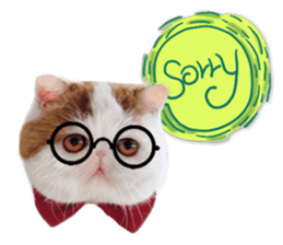 ME LOVE cat sticker #13563121