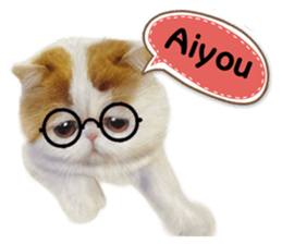 ME LOVE cat sticker #13563124