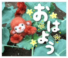 Monkey of the wool felt sticker #13563359