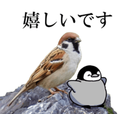 Pen-chan and wild birds sticker #13563478