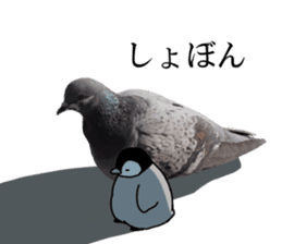 Pen-chan and wild birds sticker #13563479