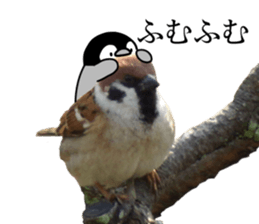 Pen-chan and wild birds sticker #13563480