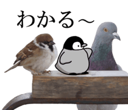 Pen-chan and wild birds sticker #13563481