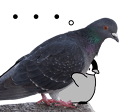 Pen-chan and wild birds sticker #13563483