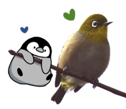Pen-chan and wild birds sticker #13563484