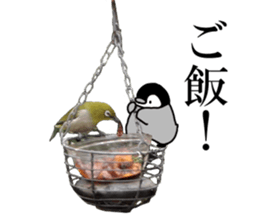 Pen-chan and wild birds sticker #13563485
