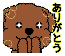 Mogu and Marco of toy poodles 4 sticker #13564176