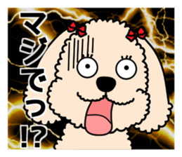 Mogu and Marco of toy poodles 4 sticker #13564181