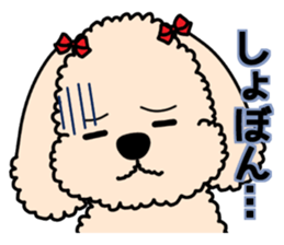 Mogu and Marco of toy poodles 4 sticker #13564185