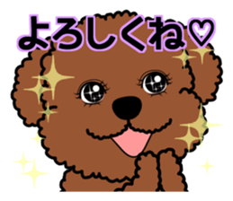 Mogu and Marco of toy poodles 4 sticker #13564188