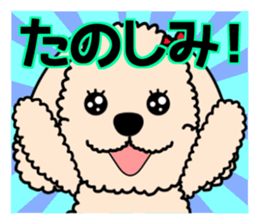 Mogu and Marco of toy poodles 4 sticker #13564195