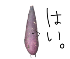 Stone baked sweet potato sticker #13564334