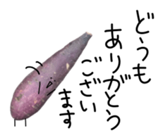 Stone baked sweet potato sticker #13564335