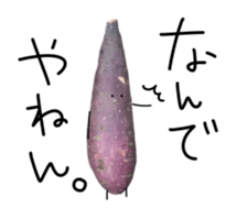 Stone baked sweet potato sticker #13564346