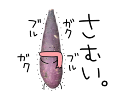 Stone baked sweet potato sticker #13564348