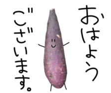 Stone baked sweet potato sticker #13564349