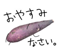 Stone baked sweet potato sticker #13564350