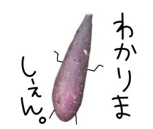 Stone baked sweet potato sticker #13564352