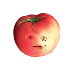 Tomato human sticker #13564374