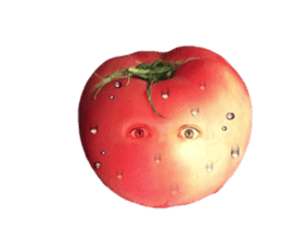 Tomato human sticker #13564377
