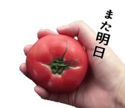 Tomato human sticker #13564383