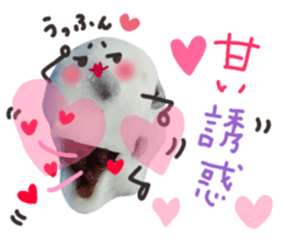 Real Japanese WAGASHI DAIFUKU sticker #13564696