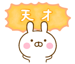 Rabbit Usahina praise sticker #13564712