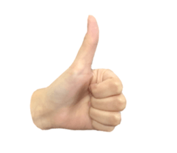 left hand sticker #13566310