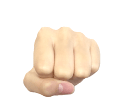 left hand sticker #13566311