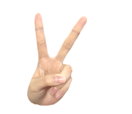 left hand sticker #13566312