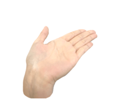 left hand sticker #13566314