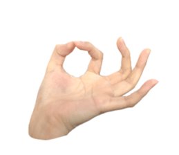 left hand sticker #13566317