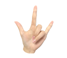 left hand sticker #13566319