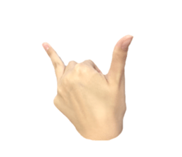 left hand sticker #13566320