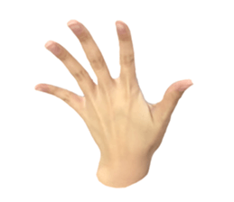 left hand sticker #13566322