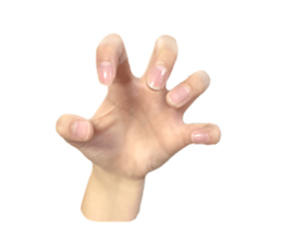 left hand sticker #13566325