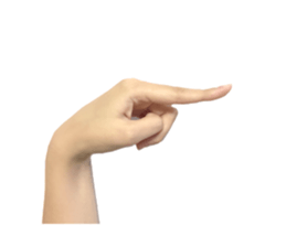 left hand sticker #13566327