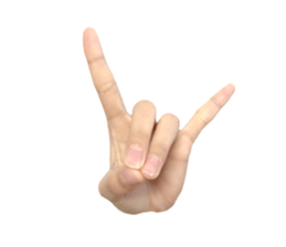 left hand sticker #13566330