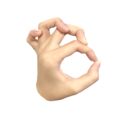 left hand sticker #13566331