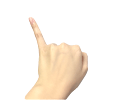 left hand sticker #13566332