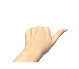 left hand sticker #13566333