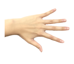 left hand sticker #13566338