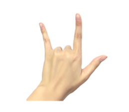 left hand sticker #13566339