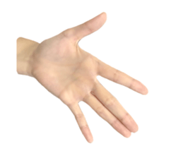 left hand sticker #13566340